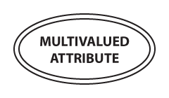 Attributes in Chen ERD notation: multivalue attribute